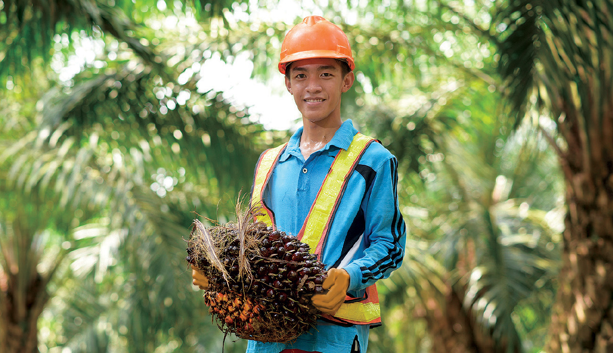 34,000 Plantation Worker Quotas Approved to Safeguard Production Output
